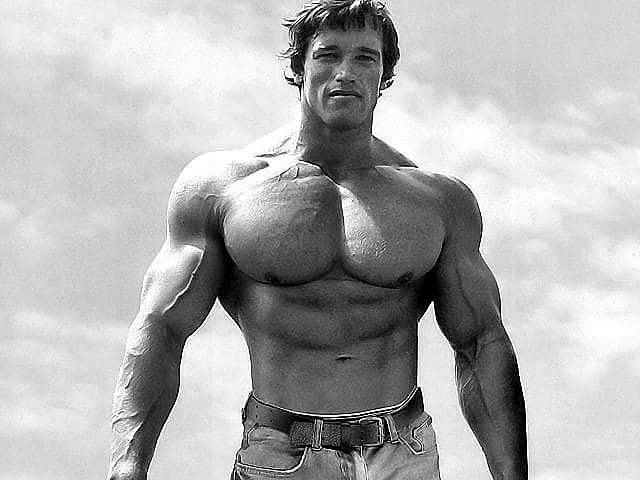 Elezione di Arnold Schwarzenegger