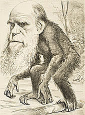 Charles Darwin Began " Descent of Modification"
