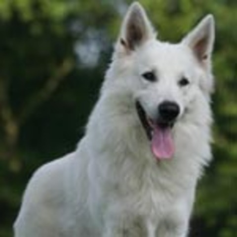 el momento de contar historias