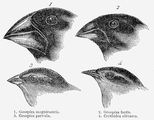 On the Origin of Species
