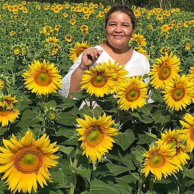 Timeline: Mi trayectoria en la vida