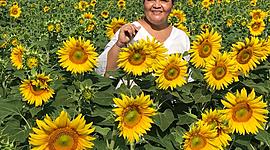 Timeline: Mi trayectoria en la vida