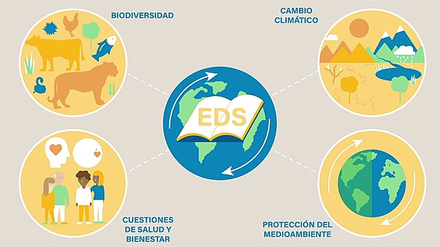 Educación para el desarrollo