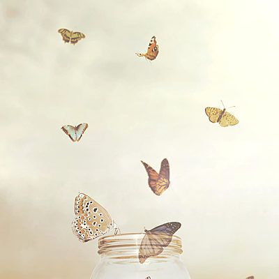 Timeline: Línea de vida