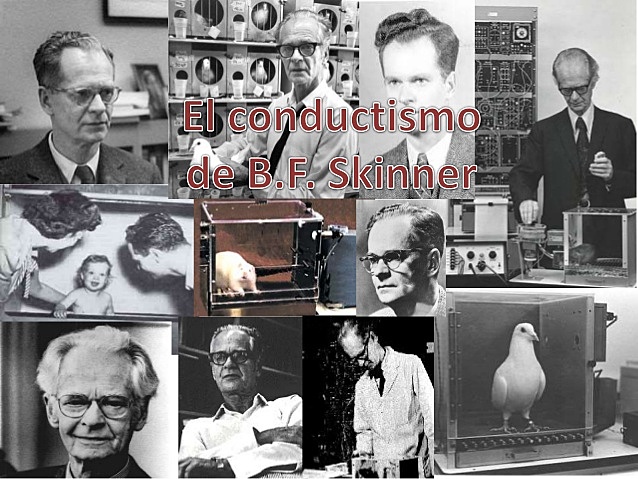 B. F. Skinner, experimento de ¨La superstición de las palomas