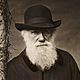 Charles darwin 3000 3x2gty 56a4890a3df78cf77282ddaf