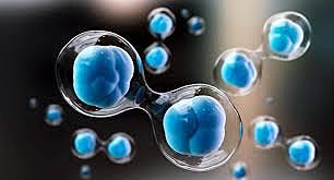 Edad Contemporánea		La implantación de células madres