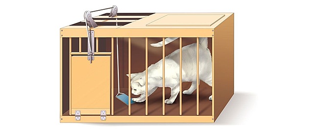 Caja Problema de Thorndike