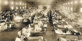 La gripe Aviar afecta en Bogotá