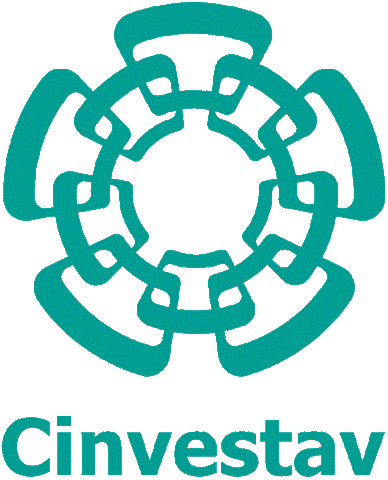 Construción del Cinvesgar-IPN