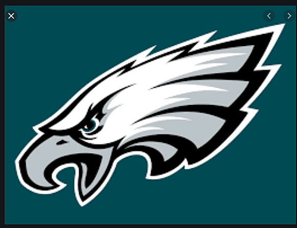 Eagles won the super bowl
