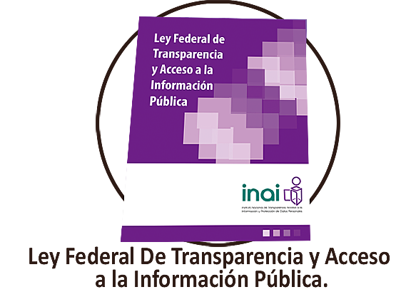 Ley Federal de Transparencia y Acceso a la Información Pública Giubernamentl