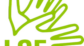 Timeline: L'histoire de la LSF