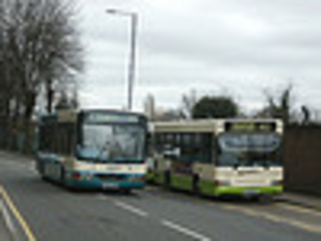 Spectator Role and the Beginning of Writing