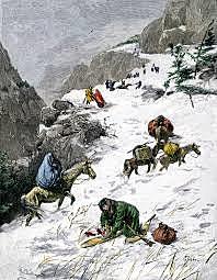 The Donner party