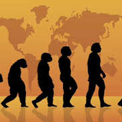Timeline: Evolución del hombre