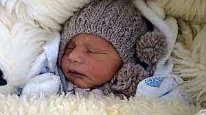 The Birth of My Father