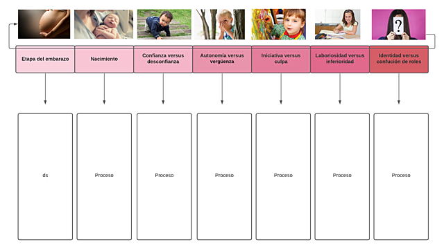 1.	Etapas del embarazo.