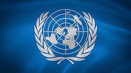 Timeline: organizaciones internacionales