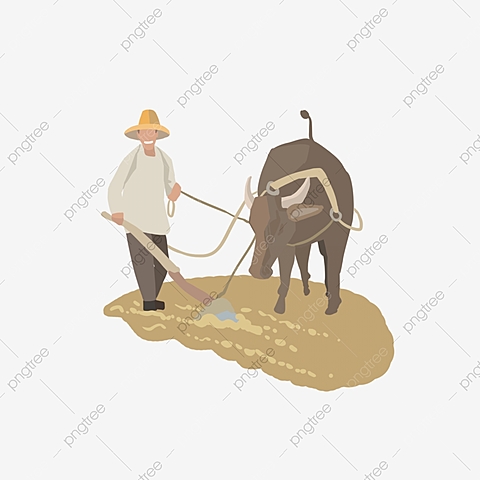 SEGUNDA ETAPA: (La agricultura)