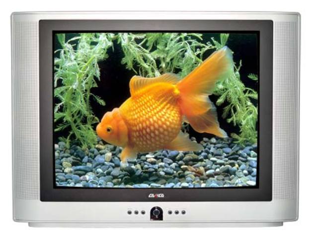 llega al television a acolor