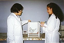 Psicólogo Burrhus Frederic Skinner