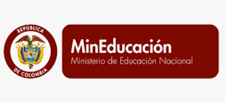 Conceptualización de los RED