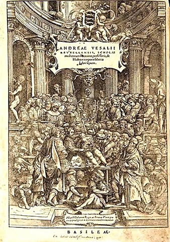 “Humani corporis fabrica libresptum”