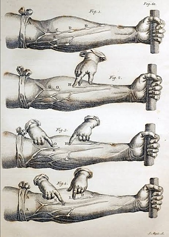 Teoría de la circulación