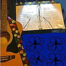 Documented My Own Songs