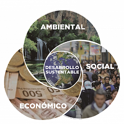 Timeline: Derecho, Legislación y Normatividad Ambiental