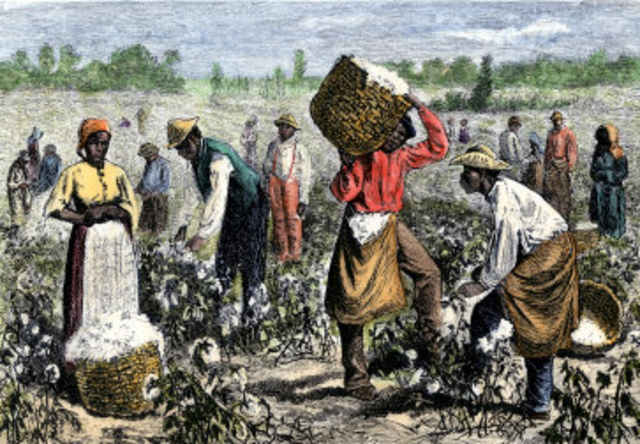 Birth of American Slavery