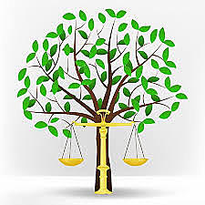 Ley General de Equilibrio Ecológico y Protección al Ambiente