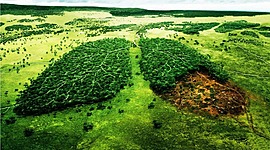 Timeline: CUIDADO DEL MEDIO AMBIENTE