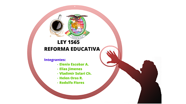 Ley 1565