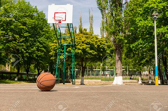 0 Practica profesional.