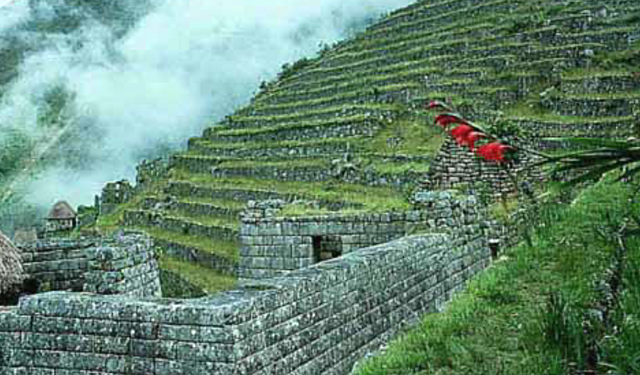 The Inca Built their Road system
