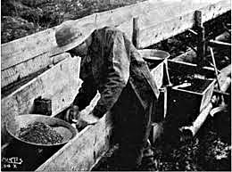 The California gold rush