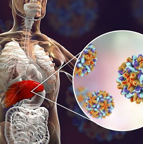 Vacuna contra la Hepatitis B