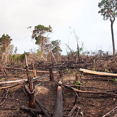 Timeline: El impacto ambiental en el mundo de las poblaciones humanas