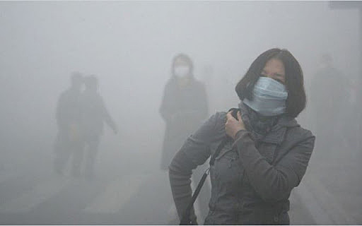 Impacto ambiental en 1999