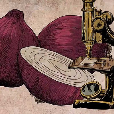 Timeline: Teoría celular