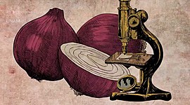 Timeline: Teoría celular