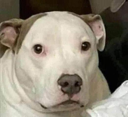 cuando fui a trabajo social por algo que no hice