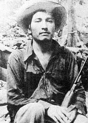 Guerrilla Sierra Madre del sur