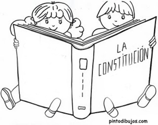 nueva constitucion
