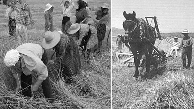 Supresión del Barbecho