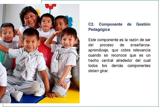 Gestión pedagógica