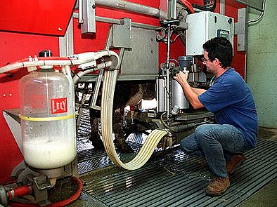 Evolución Industria