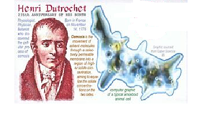 Henri Dutrochet
